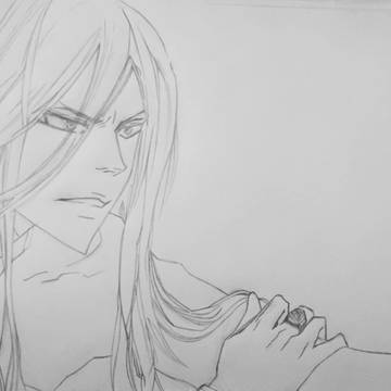 Squalo TYL Sketch