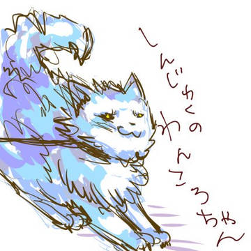 新宿の犬