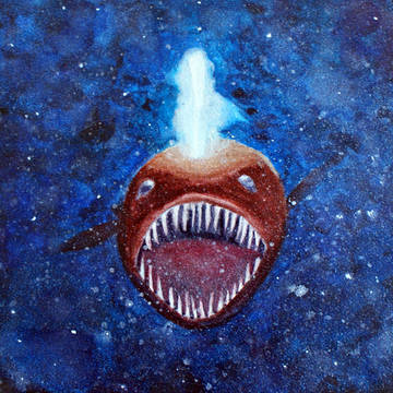 Angler Fish