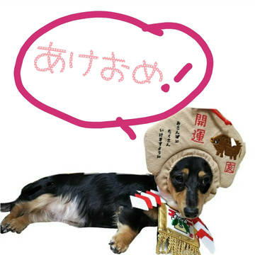 あけましておめでとうございます🎵