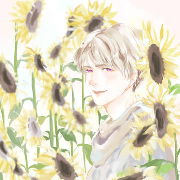 ヒマワリ