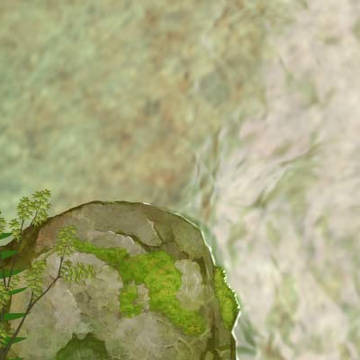 秋水