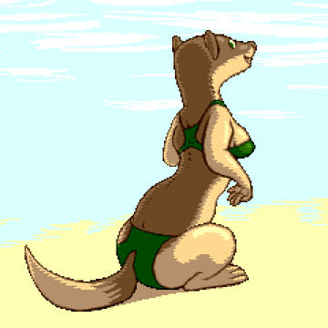 Beach Weasel ビーチのイタチ