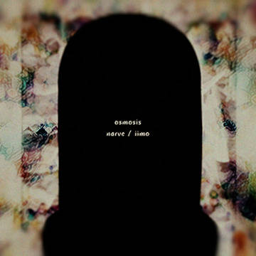 osmosis【BGA】