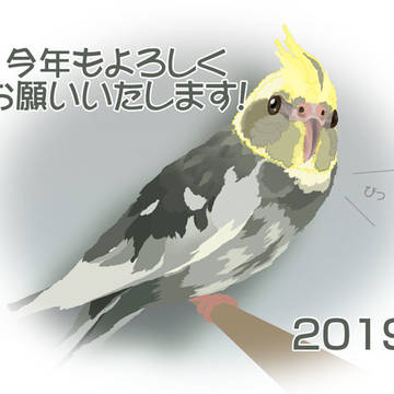 2019年賀状