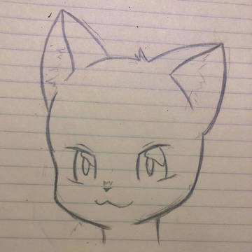 髪の毛がかけません
