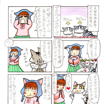 保護猫活動の苦悩？