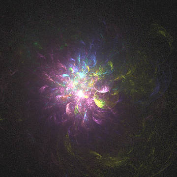 fractal flora