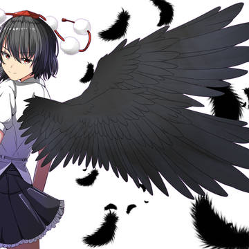 幻想郷最速の・・・