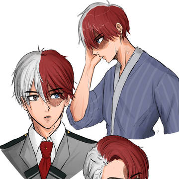 todoroki³