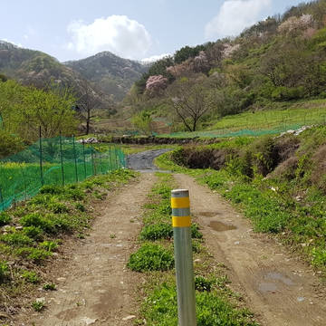 산길