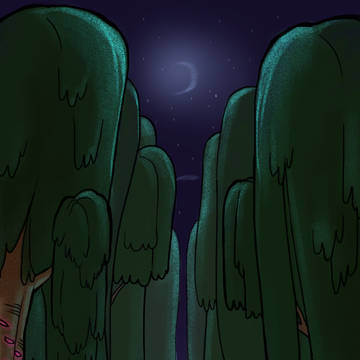 人里離れた森/幽靜的森林