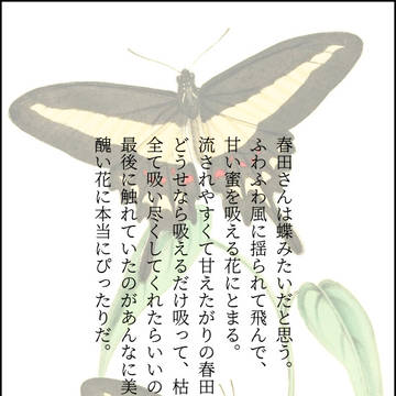 蝶と花