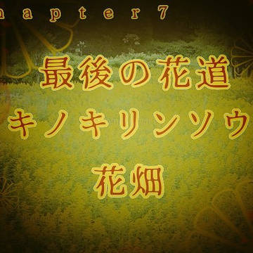 第7話【最後の花道アキノキリンソウの花畑】