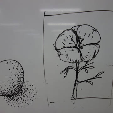 ホワイトボードで書きました