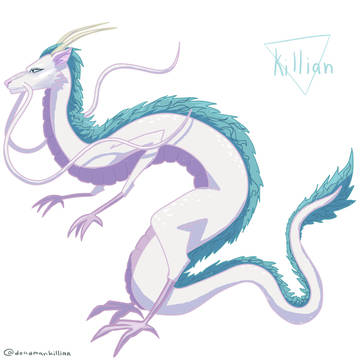 The dragon boy