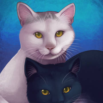 cat portraits