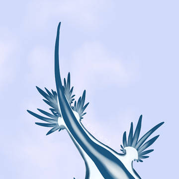 アオミノウミウシ
