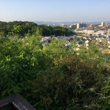 さぁ我こそは踊り狂う暴風