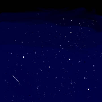 練習。