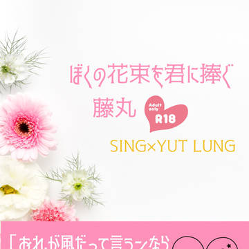 ぼくの花束を君に捧ぐ 【シン月小説本通販追記】