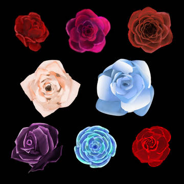薔薇のようなもの