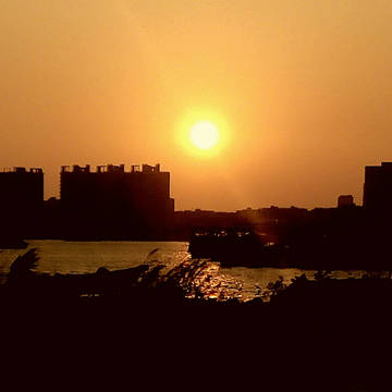 夕陽與湖邊蘆葦