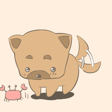 いぬかに