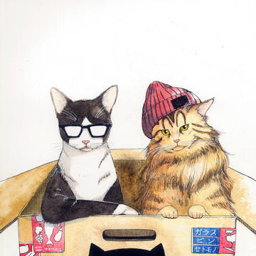招ク猫