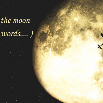 Fly me to the moon
