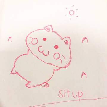 腹筋する🐱🐈