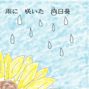 雨に咲いた向日葵