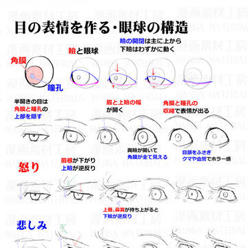 表情の作り方・目と口の表情、表情筋＋骨格の考え方