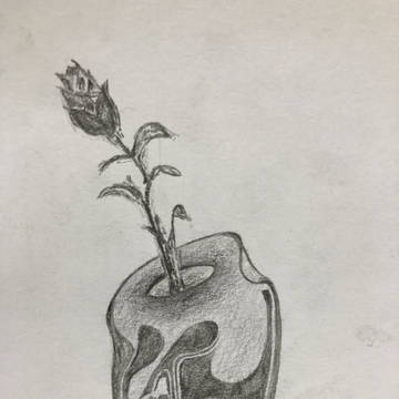 花瓶