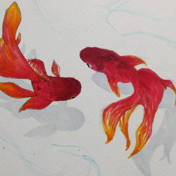 金魚