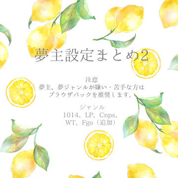 夢主設定まとめ2