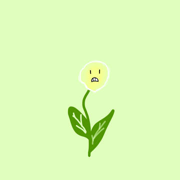 うっちー草