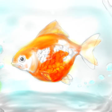鉢中の金魚