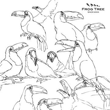 鳥
