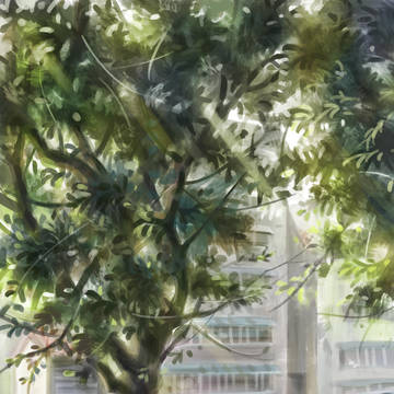 公園の隅