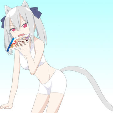 猫シェラ