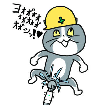 電マ猫