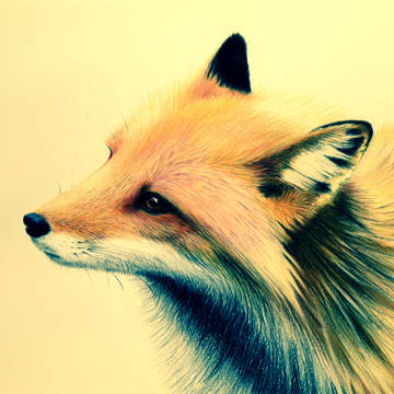キツネ