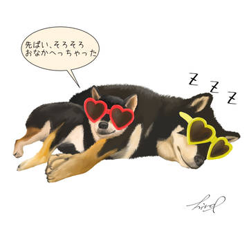 昼寝