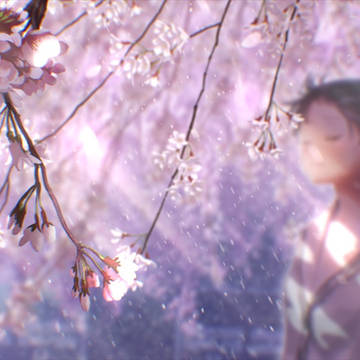 【動画】桜包み