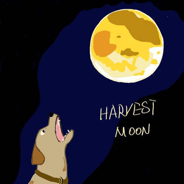 HARVEST MOON