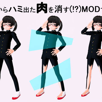 【MOD配布】肉消し透過板