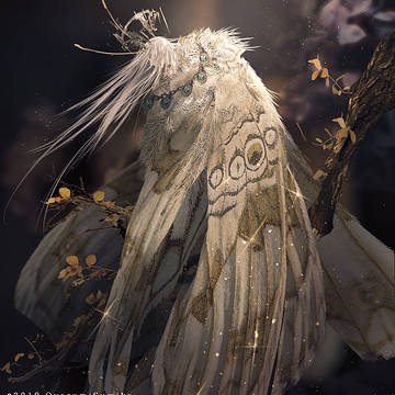 死告蝶王