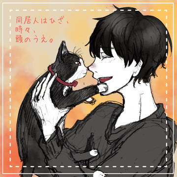 同居人はひざ、時々、頭のうえ。イラスト