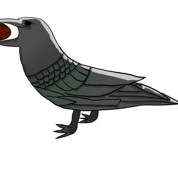 カラス